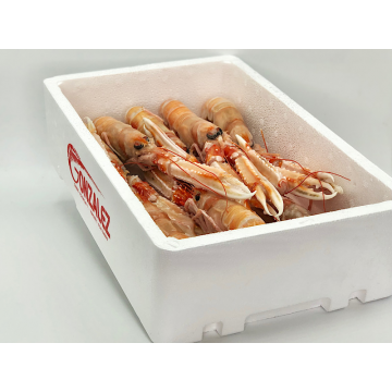 CIGALA ISLANDIA COCIDA 8-10 PIEZAS