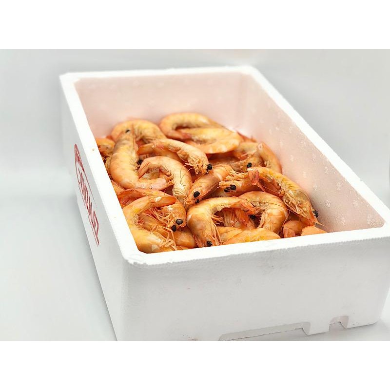 LANGOSTINO COCIDO 10-20 PIEZAS EN KG