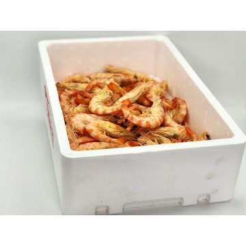 LANGOSTINO TIGRE COCIDO 40-50 PIEZAS 