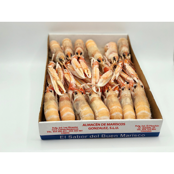 CIGALA ISLANDIA CRUDA 15-20   PIEZAS