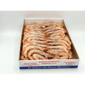 GAMBA CRUDA 90 -95  PIEZAS