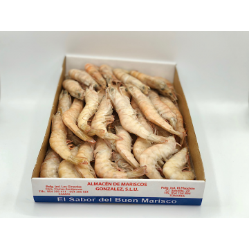 LANGOSTINO CRUDO 30-40 PIEZAS