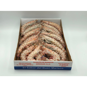 LANGOSTINO TIGRE CRUDO 25/30 PIEZAS