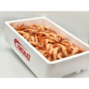 GAMBA COCIDA 95-100  PIEZAS 