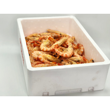 LANGOSTINO TIGRE COCIDO 25 / 30 PIEZAS